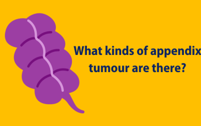 What kind of appendix tumours are there?